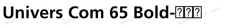 Univers Com 65 Bold字体转换